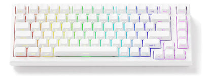 AKKO TAC75 HE 75% TECLADO MAGNÉTICO
